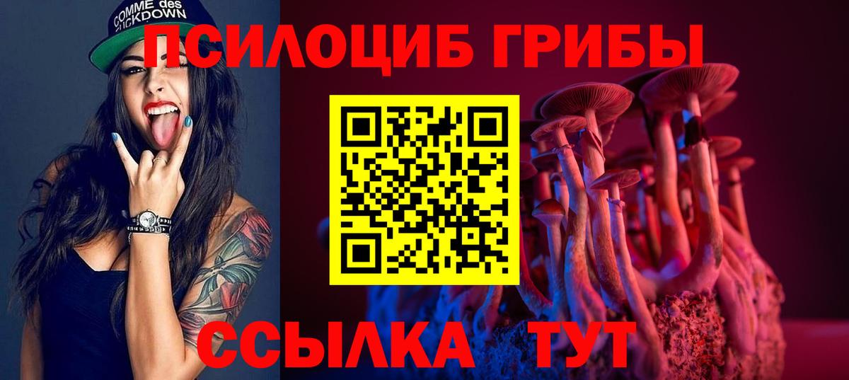 Галлюциногенные грибы прущие грибы Кемерово